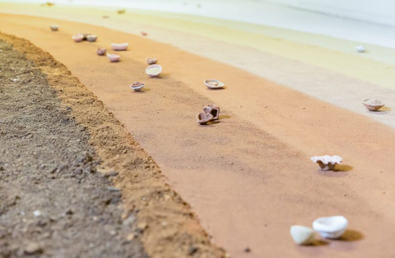 Raccolta fotografica Doblanovich-Barnes - Giorgio Sacher Fotografo