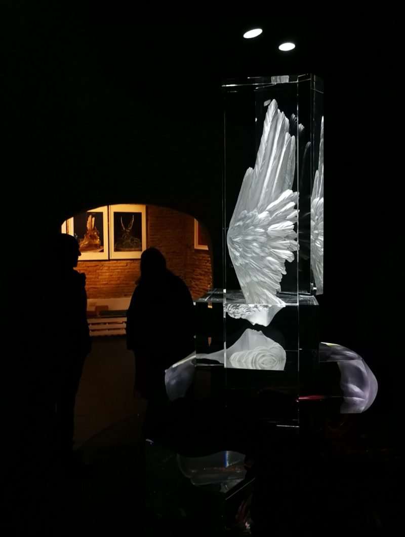 Fotografo eventi - Giorgio Sacher -Mostra